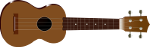 Ukelele at Musica